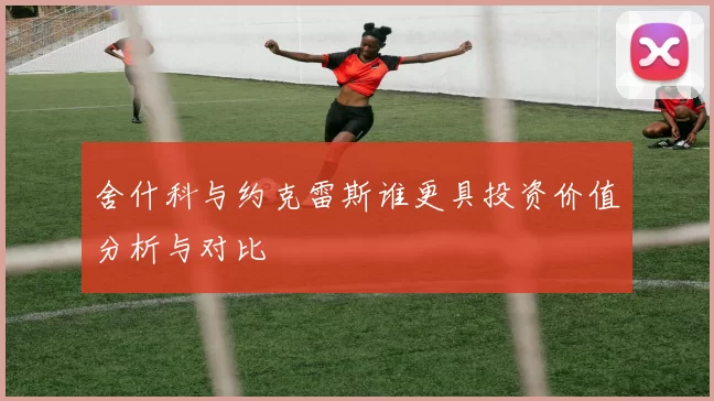 舍什科与约克雷斯谁更具投资价值分析与对比