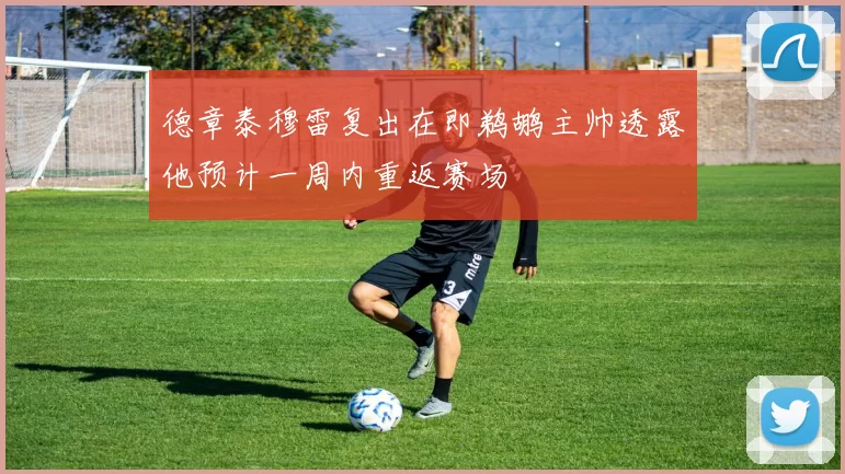 德章泰穆雷复出在即鹈鹕主帅透露他预计一周内重返赛场